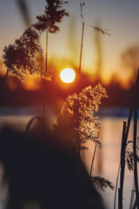 Sunset at the lake in Braunschweig Sunset at the lake in Braunschweig